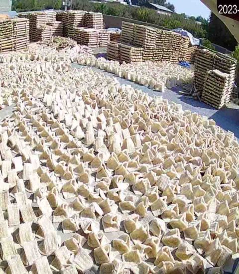 عکس سوم کارخانه تولیدی پوشال کولر در تهران