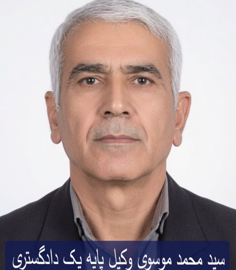 سید محمد موسوی